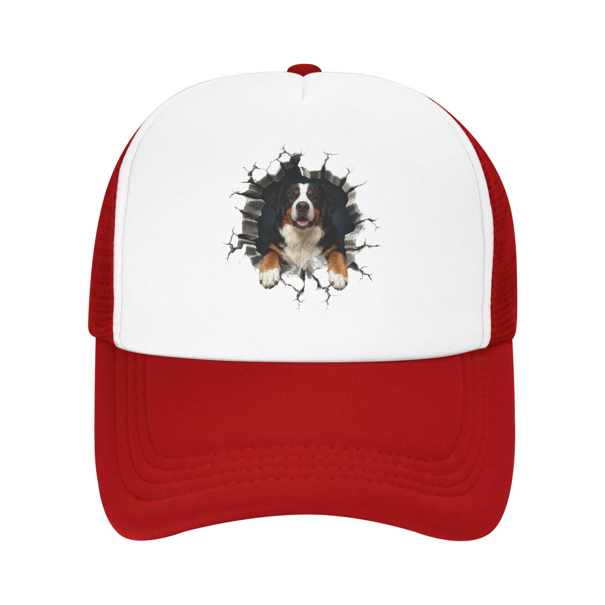 Breaking Through Bernese Mount - Trucker Hat Cap avaliação e preço