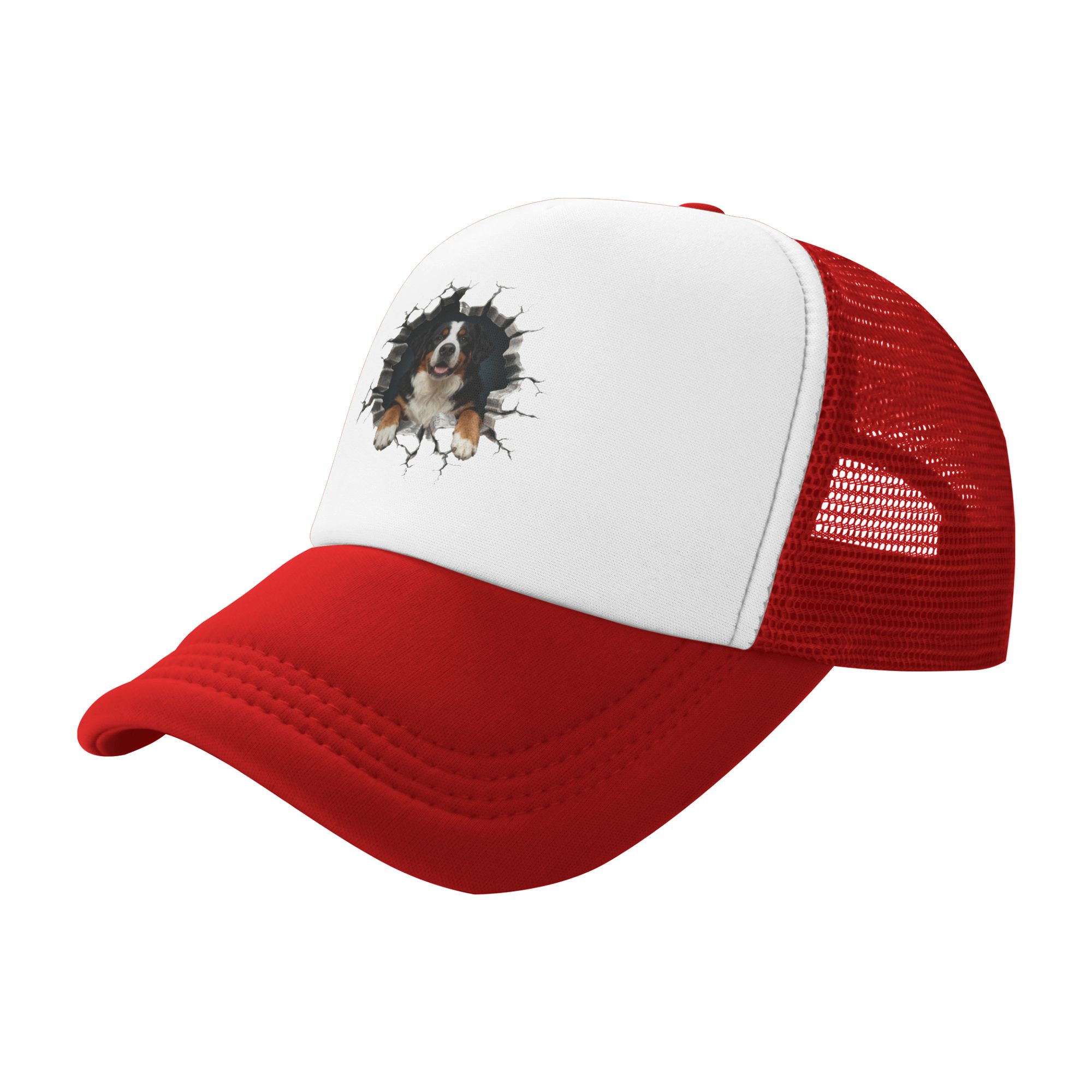 Breaking Through Bernese Mount - Trucker Hat Cap avaliação e preço